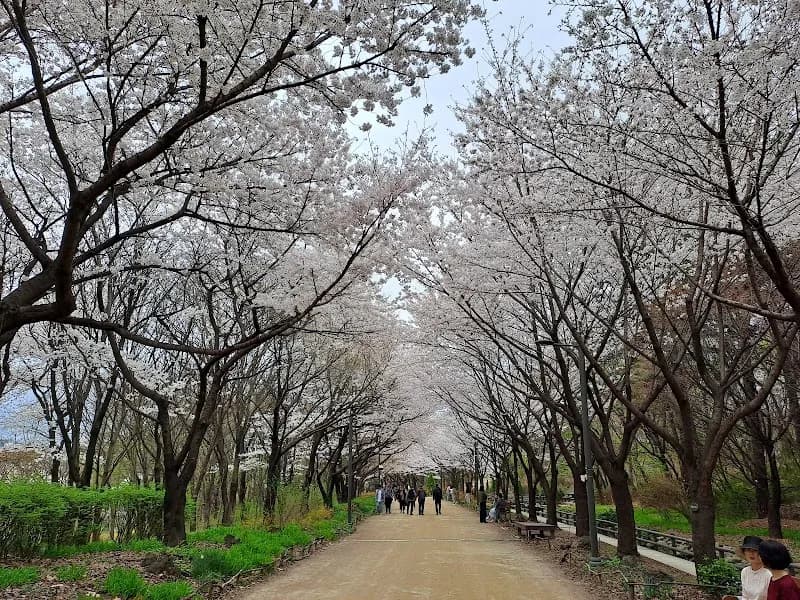 View of Seoul Forest Park in Seoul, SEL