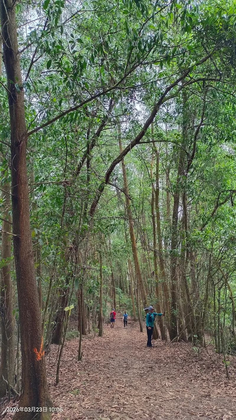 View of Shah Alam Community Forest Trail in Klang, SG
