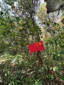 View of Shanghai Haiwan National Forest Park in Fengxian, SH