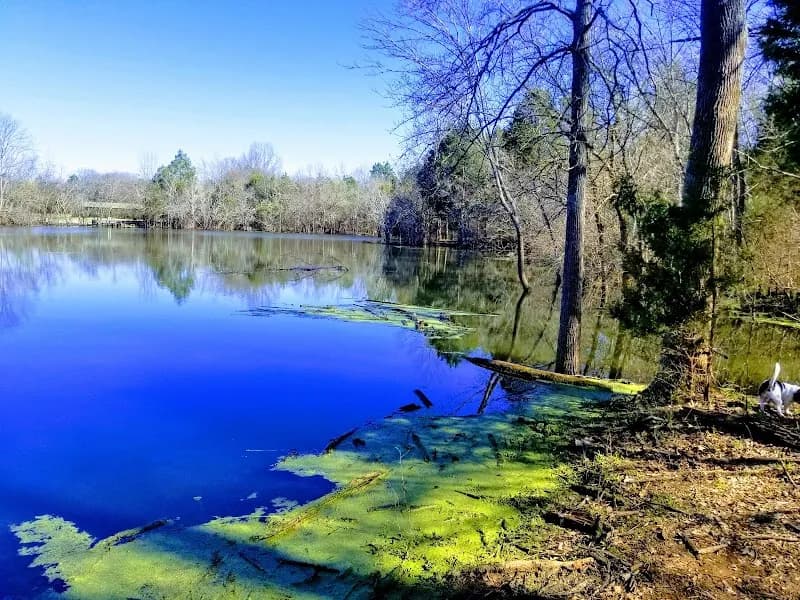 View of Sharp Springs Park in Smyrna, TN