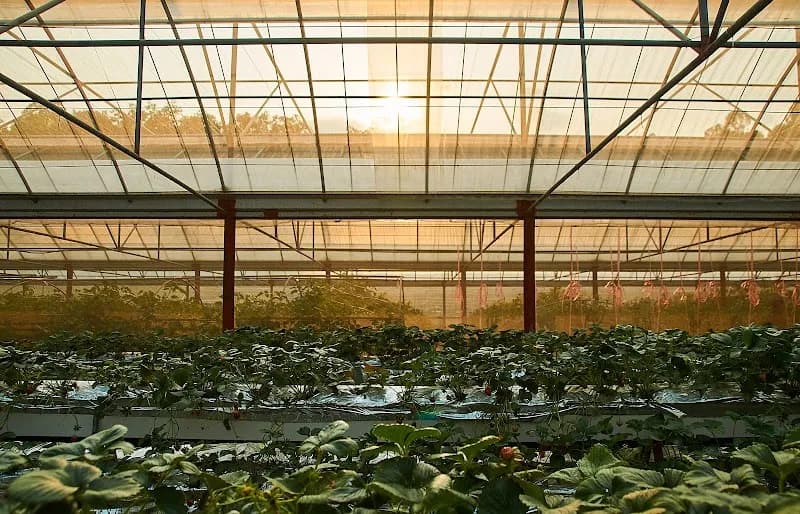 View of She Shan Tsuen Organic Farm in Fanling, HK