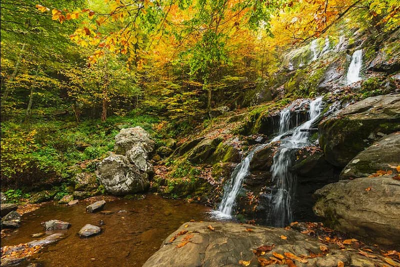 View of Shenandoah National Park in Alexandria, VA