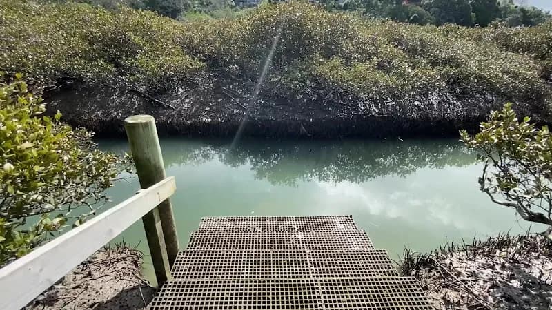 View of Shore Road Reserve in Remuera, AKL