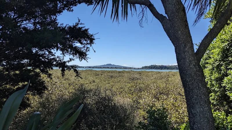 View of Shore Road Reserve in Remuera, AKL