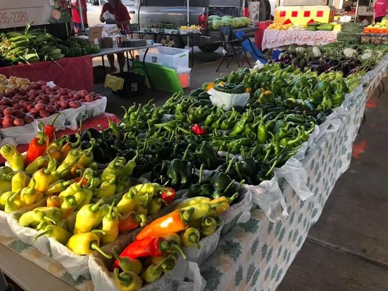 View of Shreveport Farmers' Market in Shreveport, LA