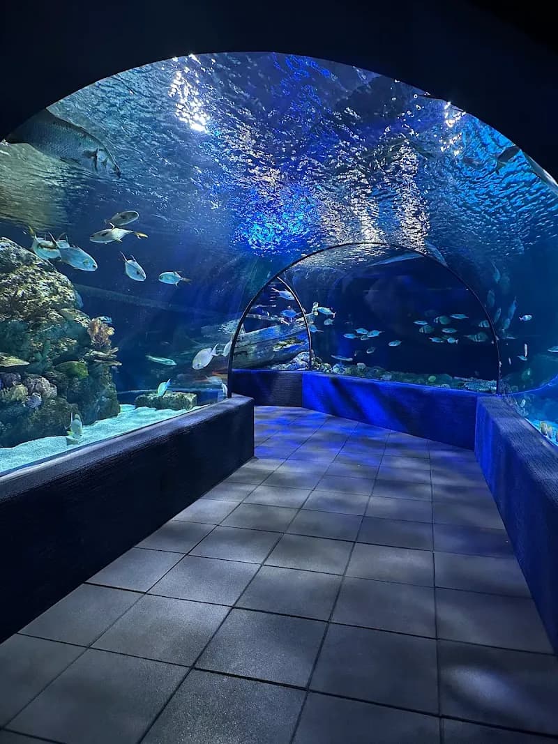 View of Siem Reap Aquarium in Siem Reap, SR