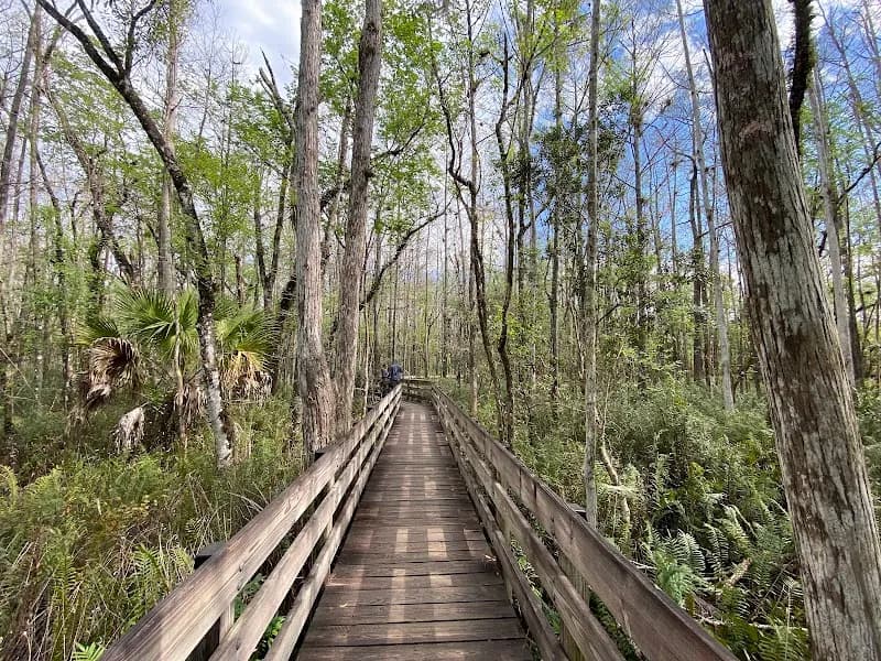 Six Mile Cypress Slough Preserve nature preserve in Fort Myers, FL