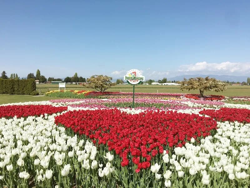 View of Skagit Valley Tulip Festival Headquarters in Bellingham, WA