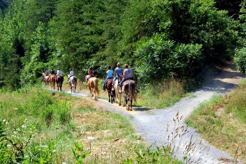 Smoky Mountain Deer Farm and Exotic Petting Zoo zoo in Pigeon Forge, TN