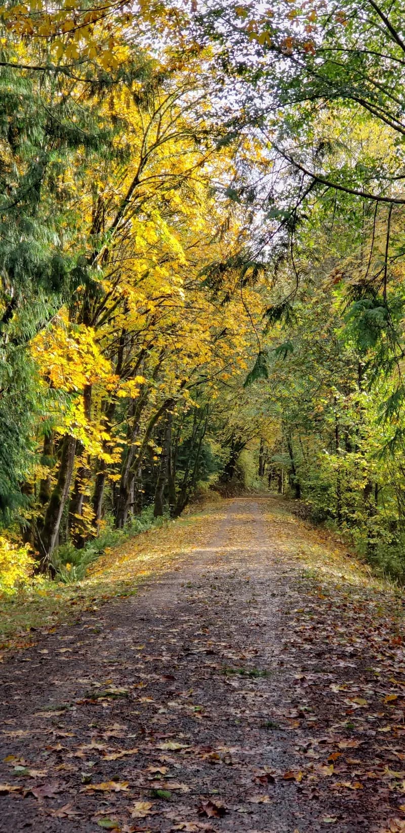 Snoqualmie Valley Trail route in Snoqualmie, WA