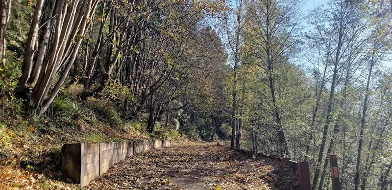 View of Snoqualmie Valley Trail in Snoqualmie, WA