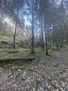 View of Sorlampi Nature Trail in Espoo, Uusimaa