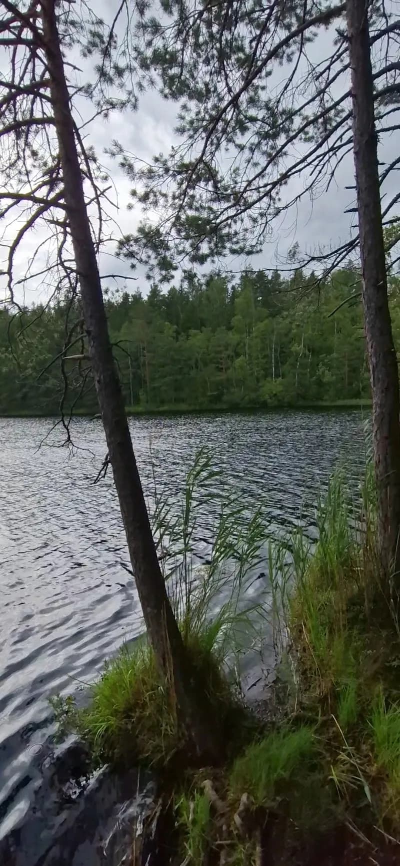 View of Sorlampi Nature Trail in Espoo, Uusimaa