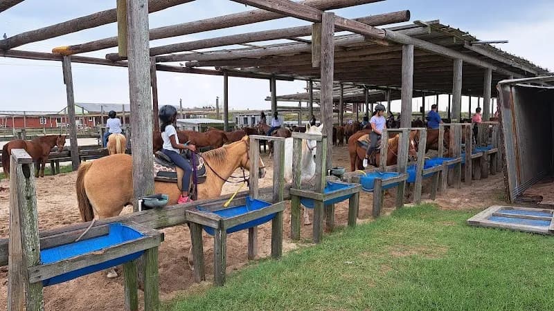 View of South Padre Island Adventure Park in South Padre Island, TX