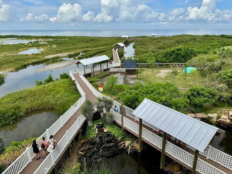 South Padre Island Birding And Nature Center non profit organization in South Padre Island, TX