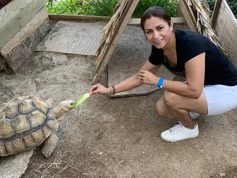 View of South Padre Island Birding And Nature Center in South Padre Island, TX