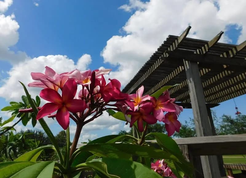 South Texas Botanical Gardens & Nature Center botanical garden in Corpus Christi, TX