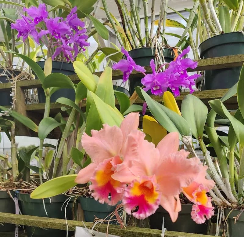 View of South Texas Botanical Gardens & Nature Center in Corpus Christi, TX