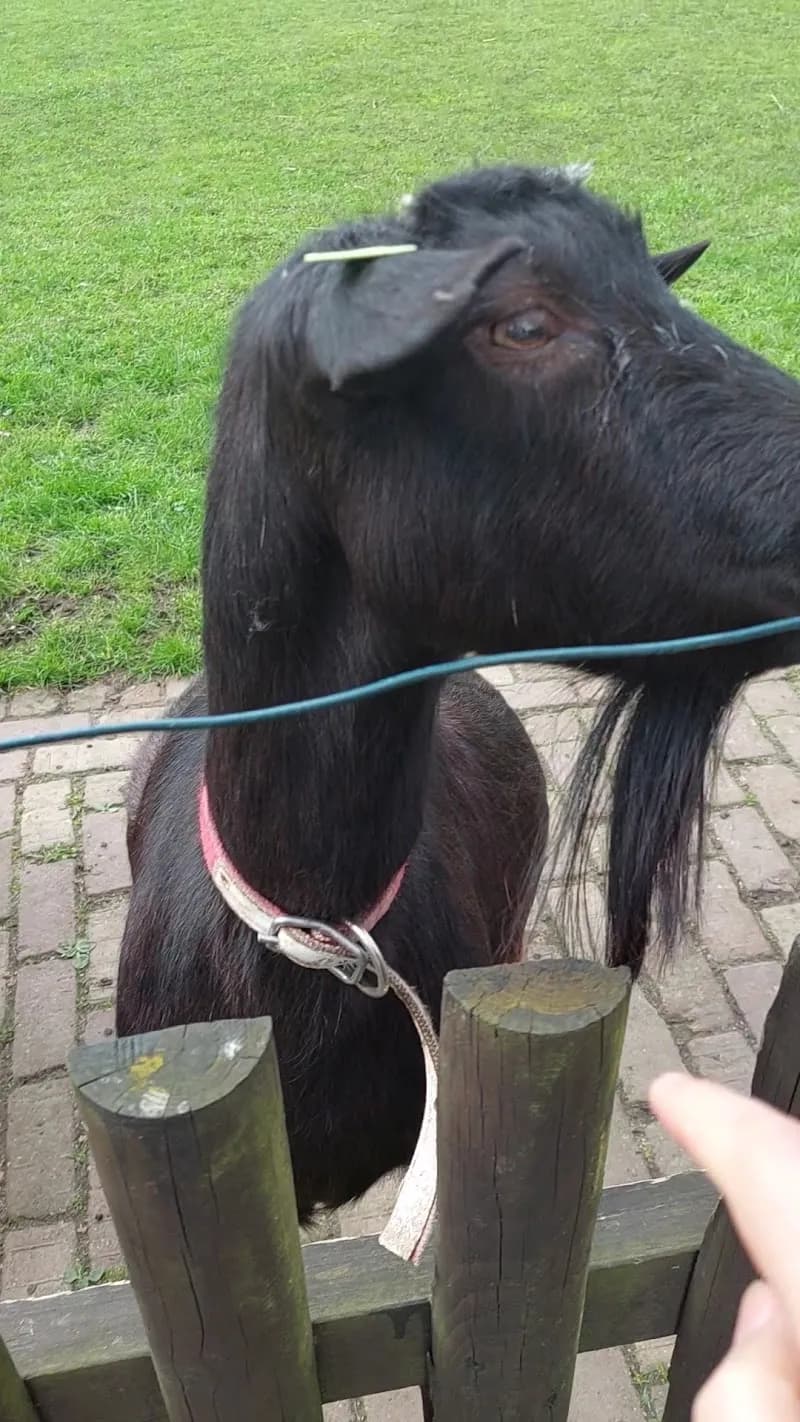 View of Speelboerderij Elsenhove in Amstelveen, NH