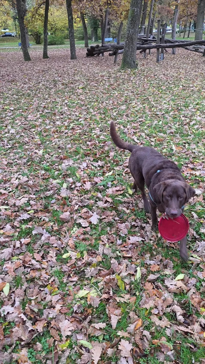 View of Spielplatz Lohwald in Unterschleißheim, BY