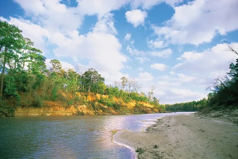 View of Spring Creek Greenway in Spring, TX