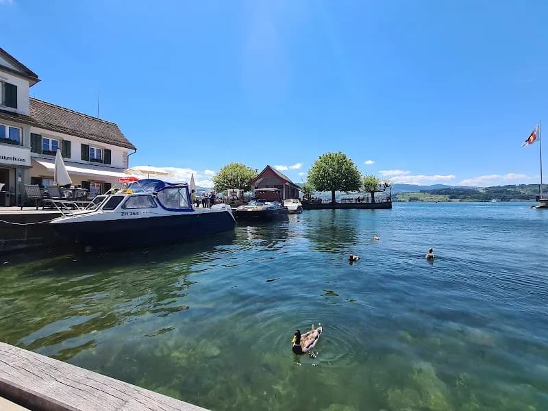 View of Stäfa in Stäfa, ZH