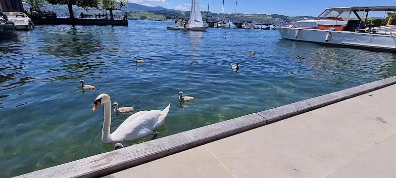 View of Stäfa in Stäfa, ZH
