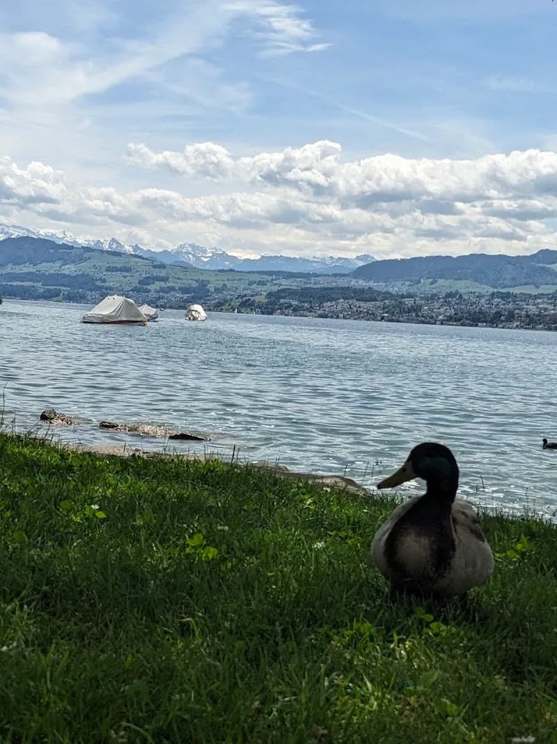 View of Strandbad Dorfmeilen in Meilen, ZH