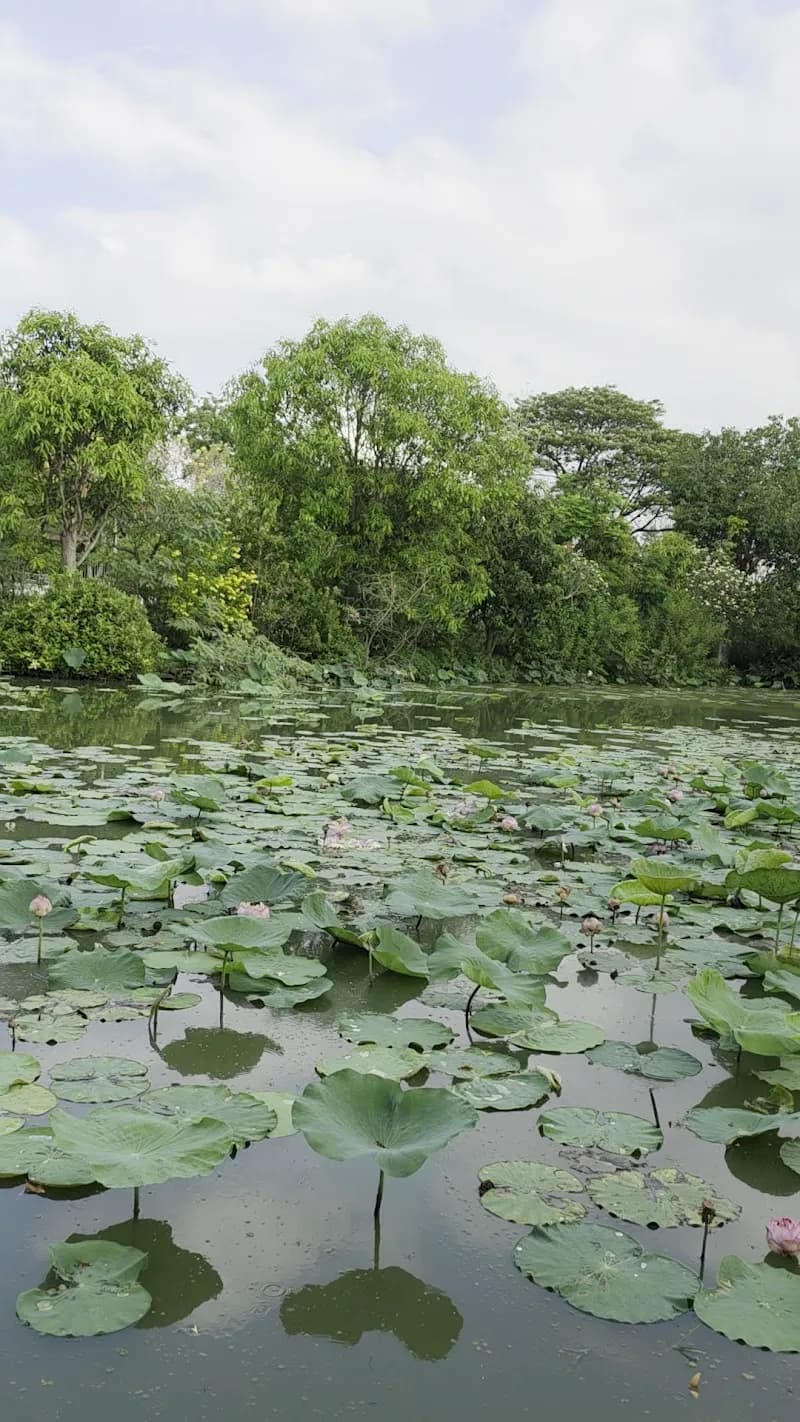 View of Suan Luang Rama IX in Lumphini, BKK