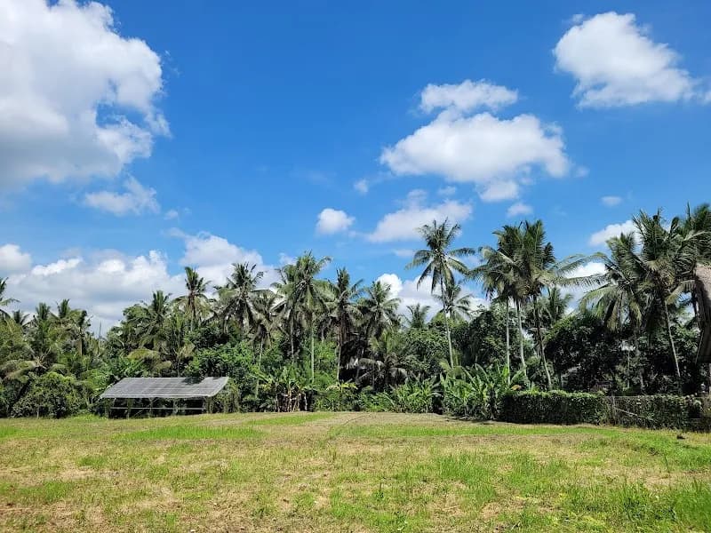 Subak Juwuk Manis Rice fields walk hiking area in Bangli, Bali