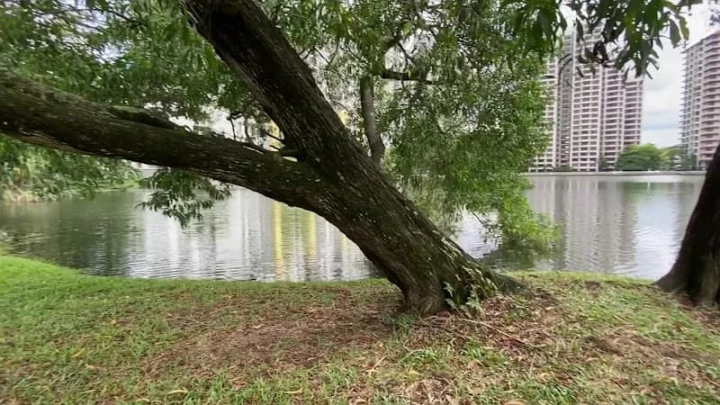 View of Subang Ria Recreational Park in Subang Jaya, SG