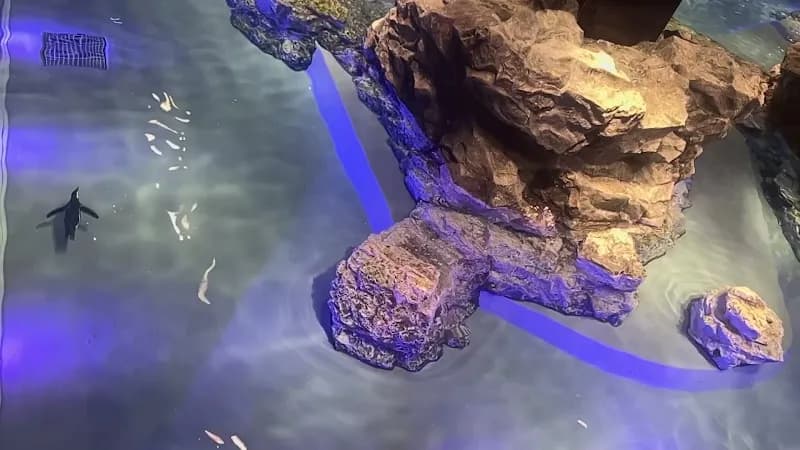 View of Sumida Aquarium in Tokyo, TK