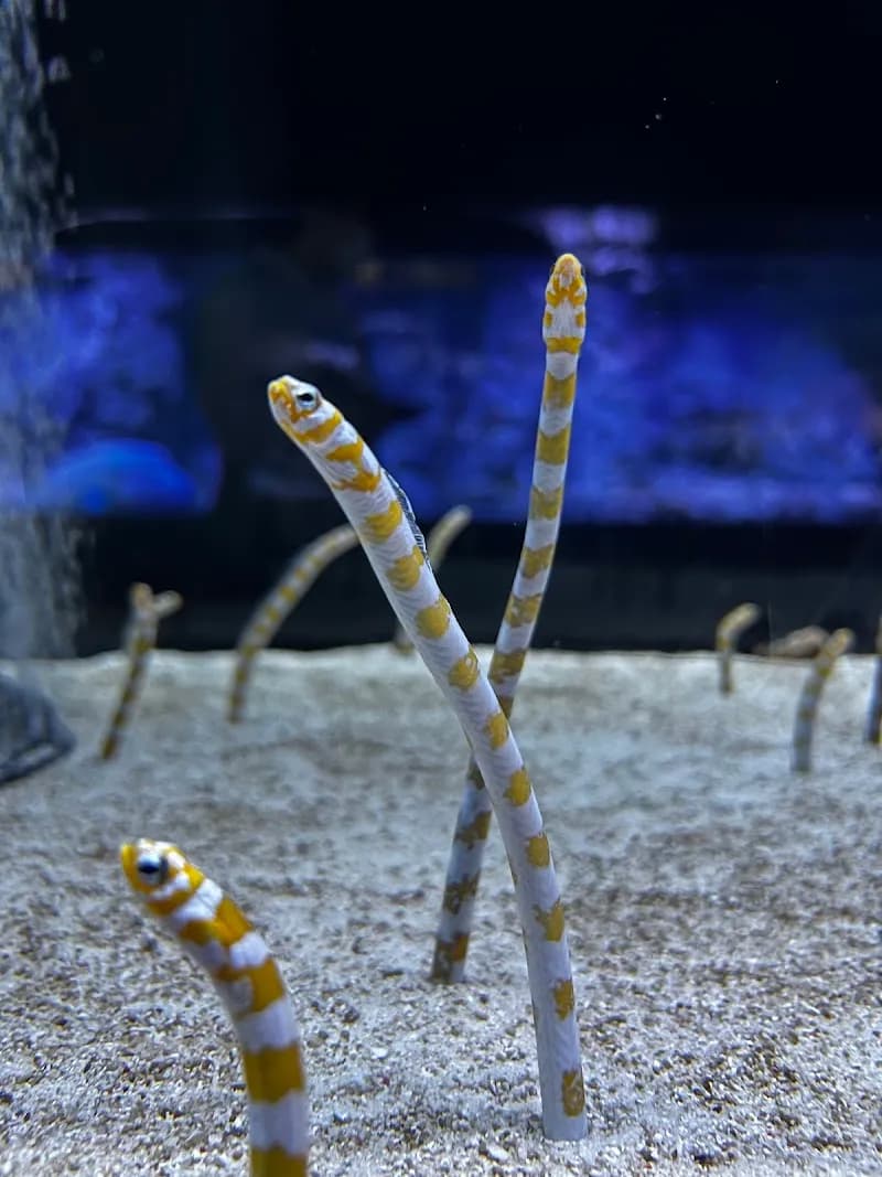View of Sumida Aquarium in Tokyo, TK