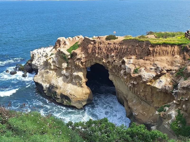 View of Sunny Jim's Sea Cave in La Jolla, CA