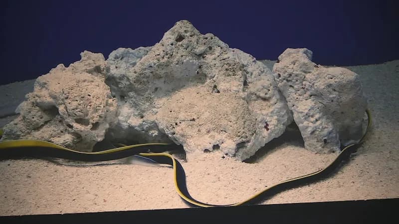 View of Sunshine Aquarium in Tokyo, TK