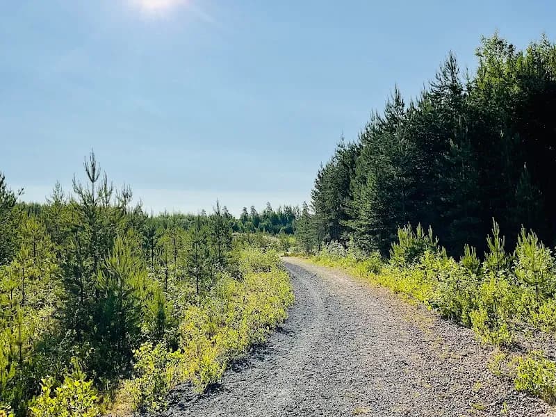 Suomies Nature Trail hiking area in Hyvinkää, Uusimaa