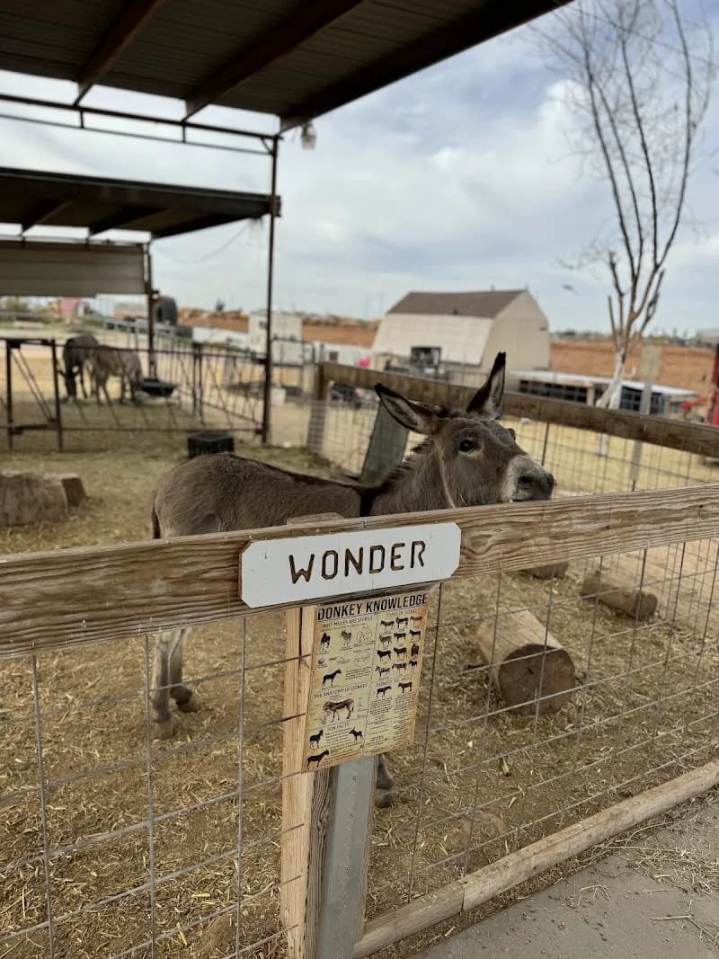 View of Superstition Farm in Mesa, AZ