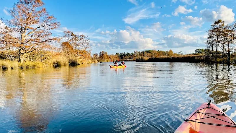 View of Surf & Adventure Co. in Sandbridge, VA