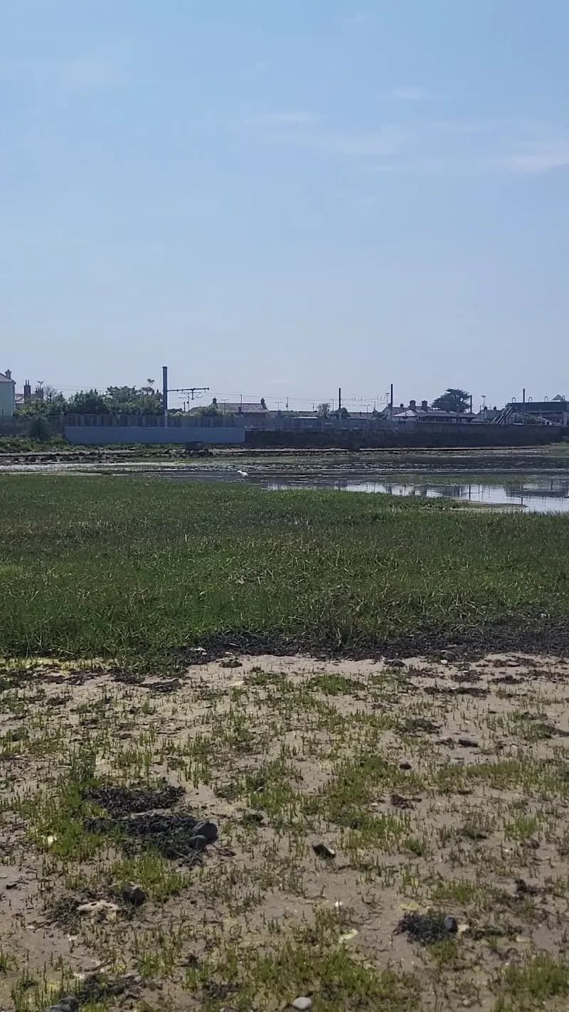 View of Sutton Golf Club in Sutton, D