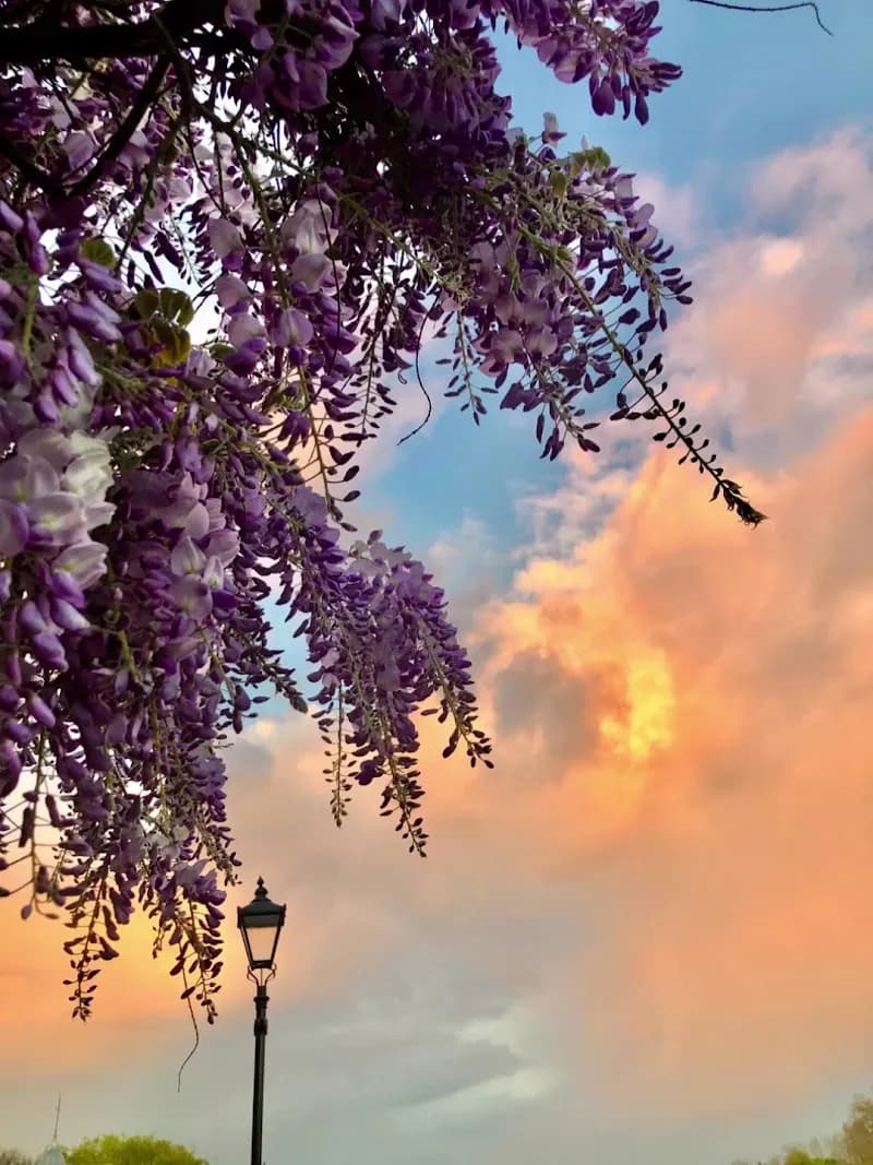 View of Syon Park in Hounslow, London