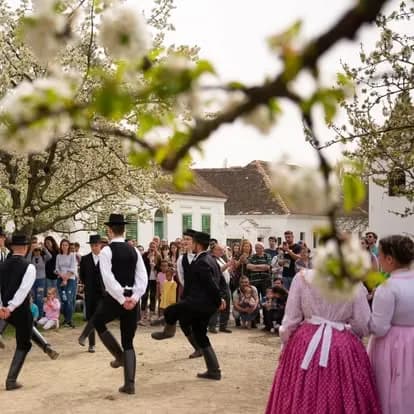 Szentendre Skanzen Village Museum history museum in Szentendre, Budapest