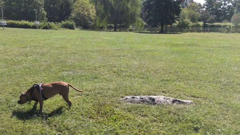 View of Taconite Creek in Wilmington, DE