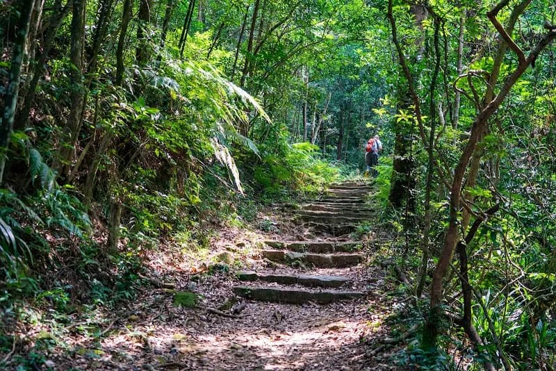 Tai Po Kau Nature Reserve national park in Tai Po, HK