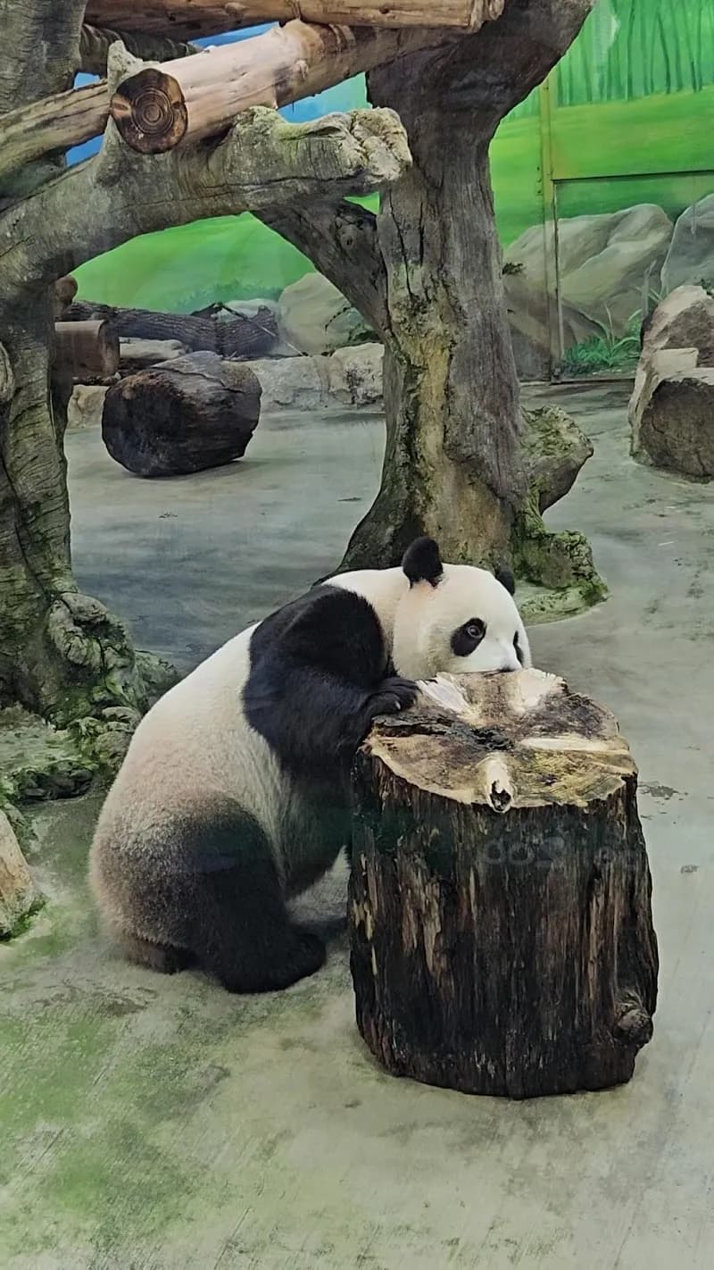 View of Taipei Zoo in Taipei, TPE