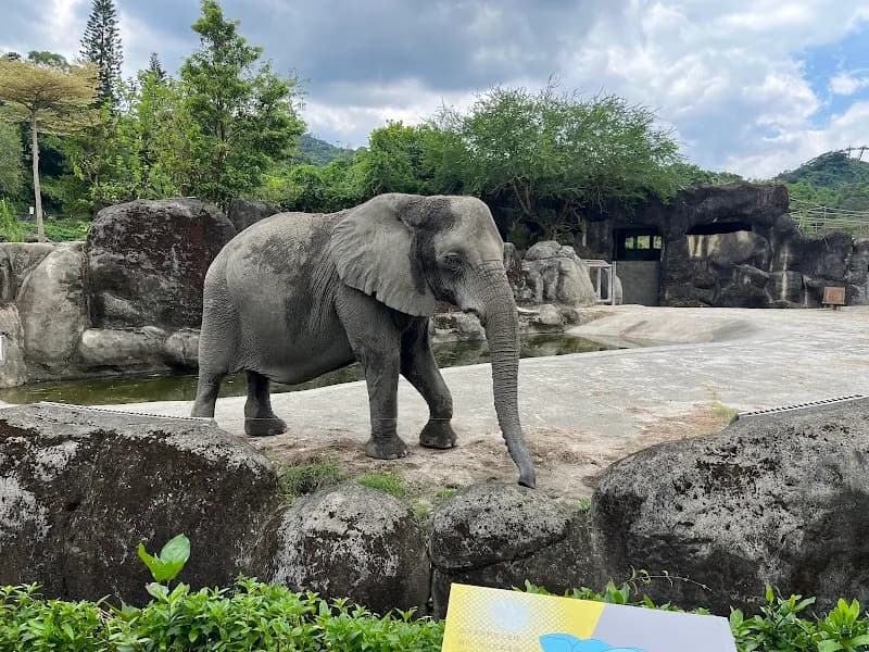 View of Taipei Zoo in Taipei, TPE