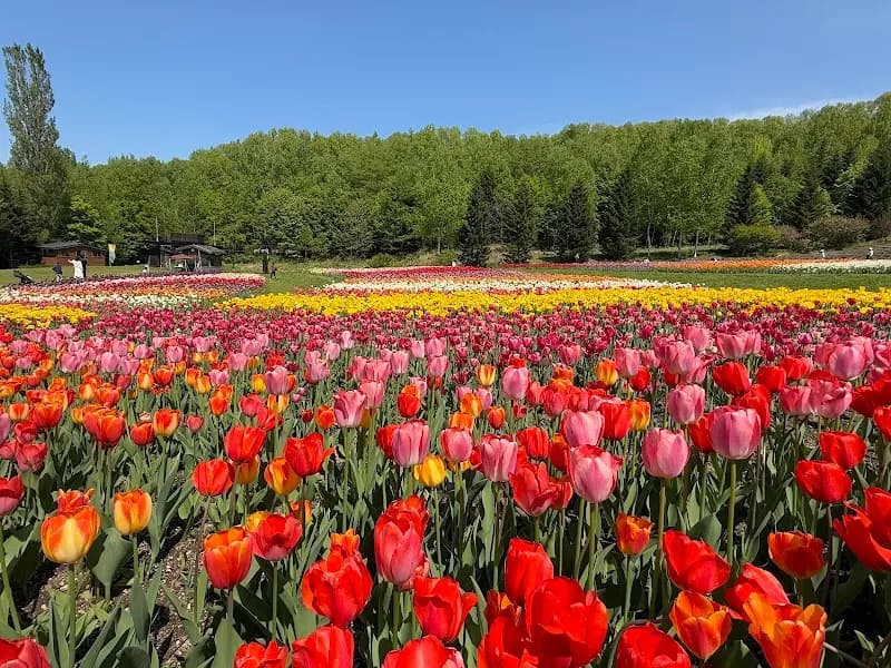 View of Takaino Park in Settsu, Osaka