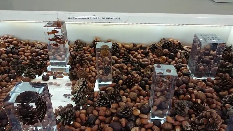 View of TAKAO 599 MUSEUM in Hachioji, Tokyo