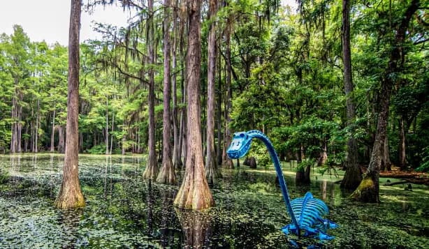 View of Tallahassee Museum in Tallahassee, FL