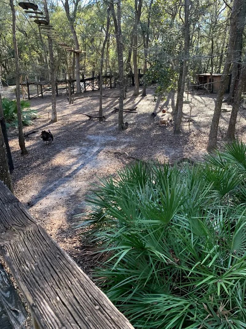 View of Tallahassee Museum in Tallahassee, FL