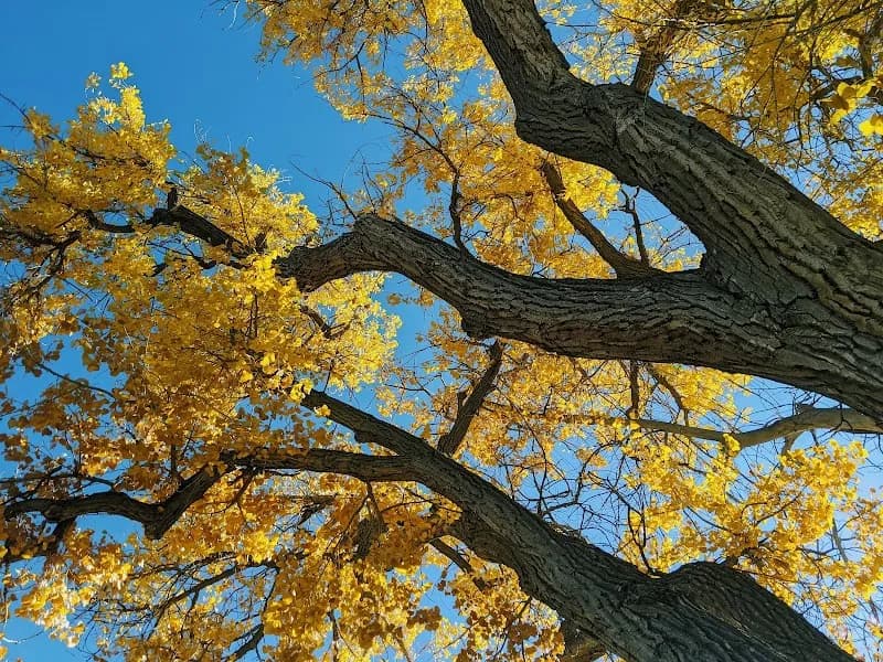 View of Tallman Gulch Trail in Parker, CO